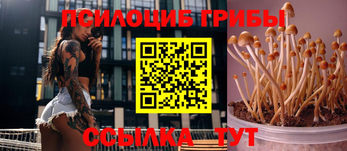Псилоцибиновые грибы Magic Shrooms Новозыбков