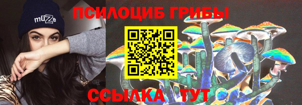 Галлюциногенные грибы GOLDEN TEACHER  Псилоцибиновые грибы Psilocybe  Вход с VPN  наркотики  Новозыбков 